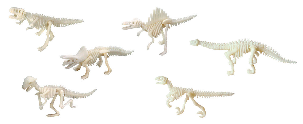 verkoopplan Betekenisvol Wegenbouwproces Dig it out: Dinosaurusskelet (vorm van een klauw) - Dinosaurussen l  Dinoworld - Dinoworld