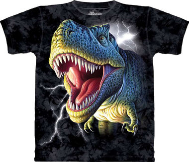 Blaze herberg Brullen Dinosaurus T shirts - Dinoworld